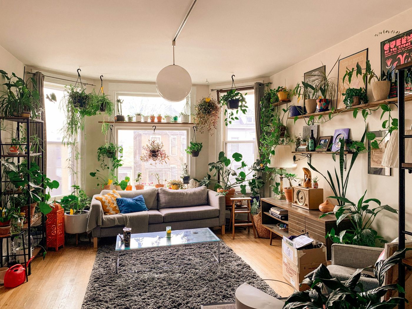 A bright living room full of houseplants